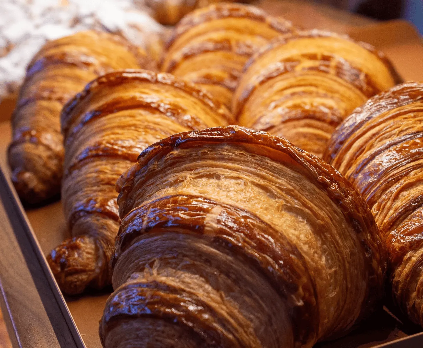 Hariye Artisan Bakery & Cafe mekan fotoğrafı